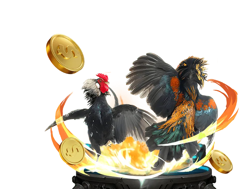 Khuyến mãi đá gà trực tuyến da ga179